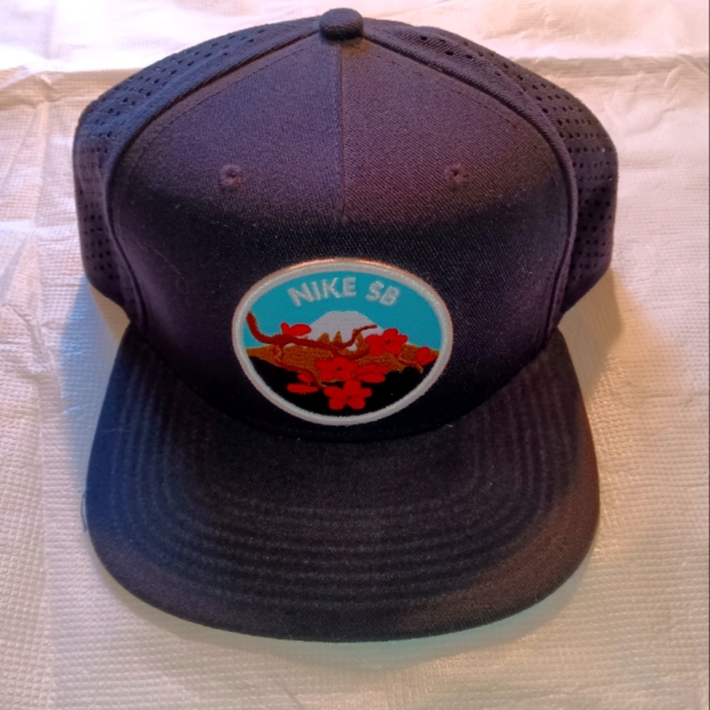 Nike SB Hat